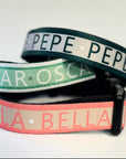 Green Personalised Pet Collar - Add your Pets Name