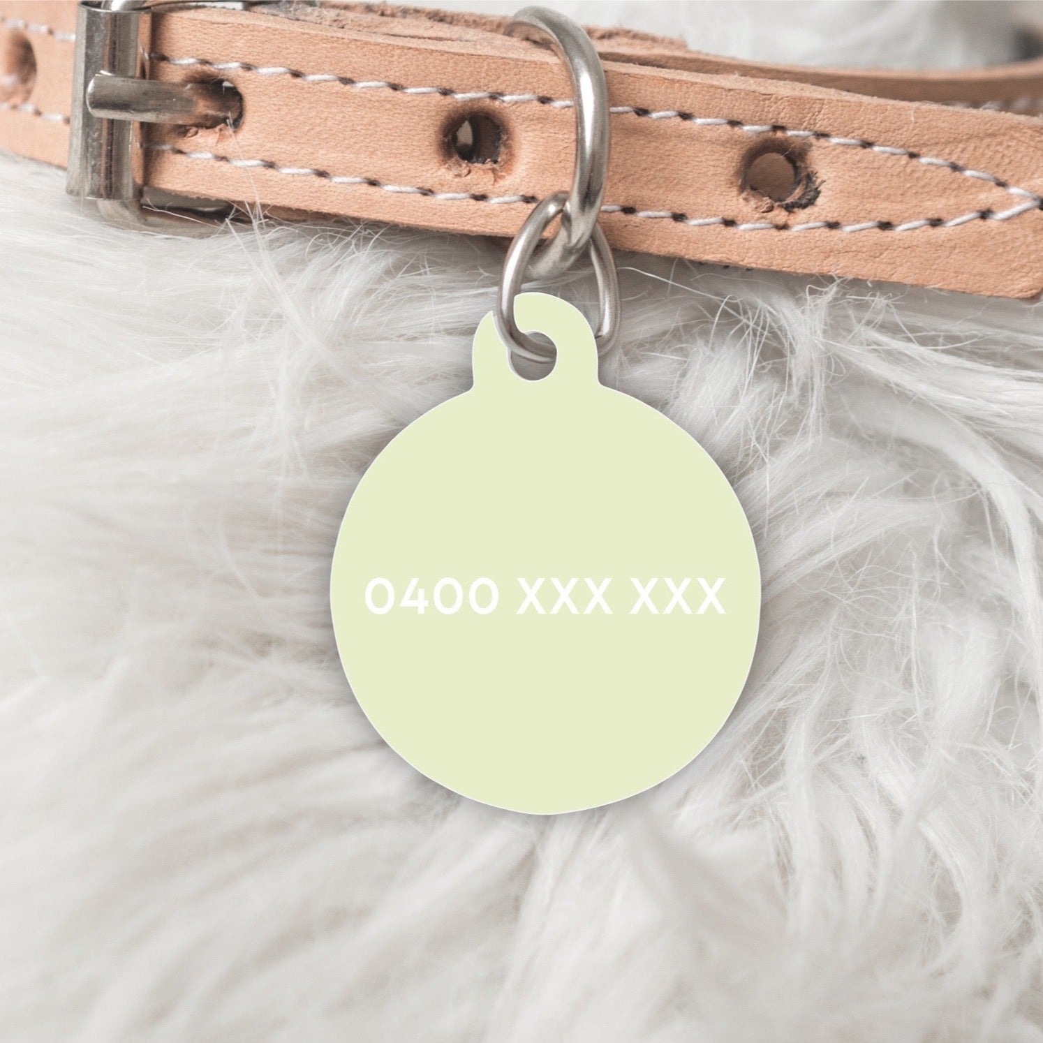 Colour Pop Green Personalised Pet dog or cat ID Tag