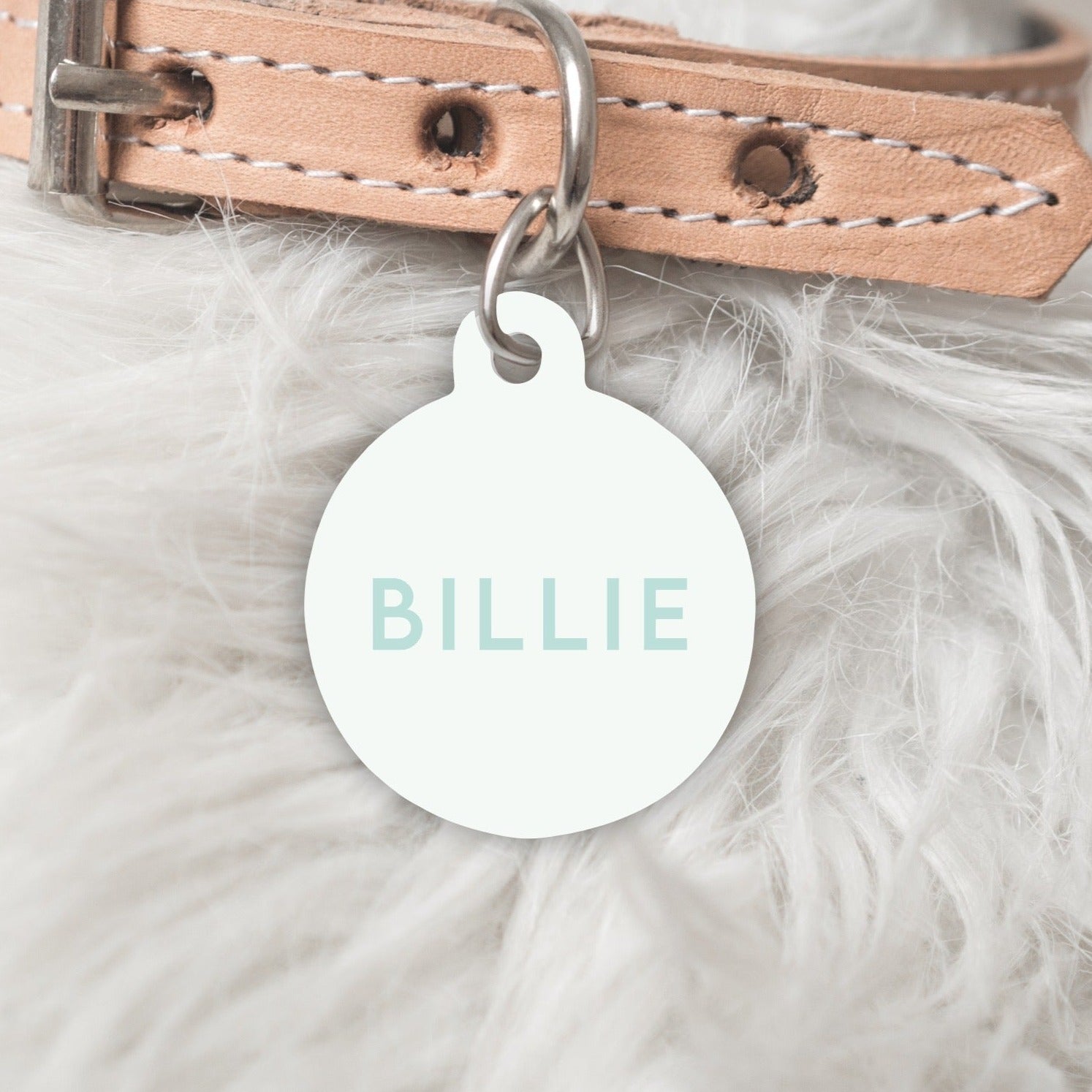 Colour Pop Pastel Green Personalised Pet dog or cat ID Tag