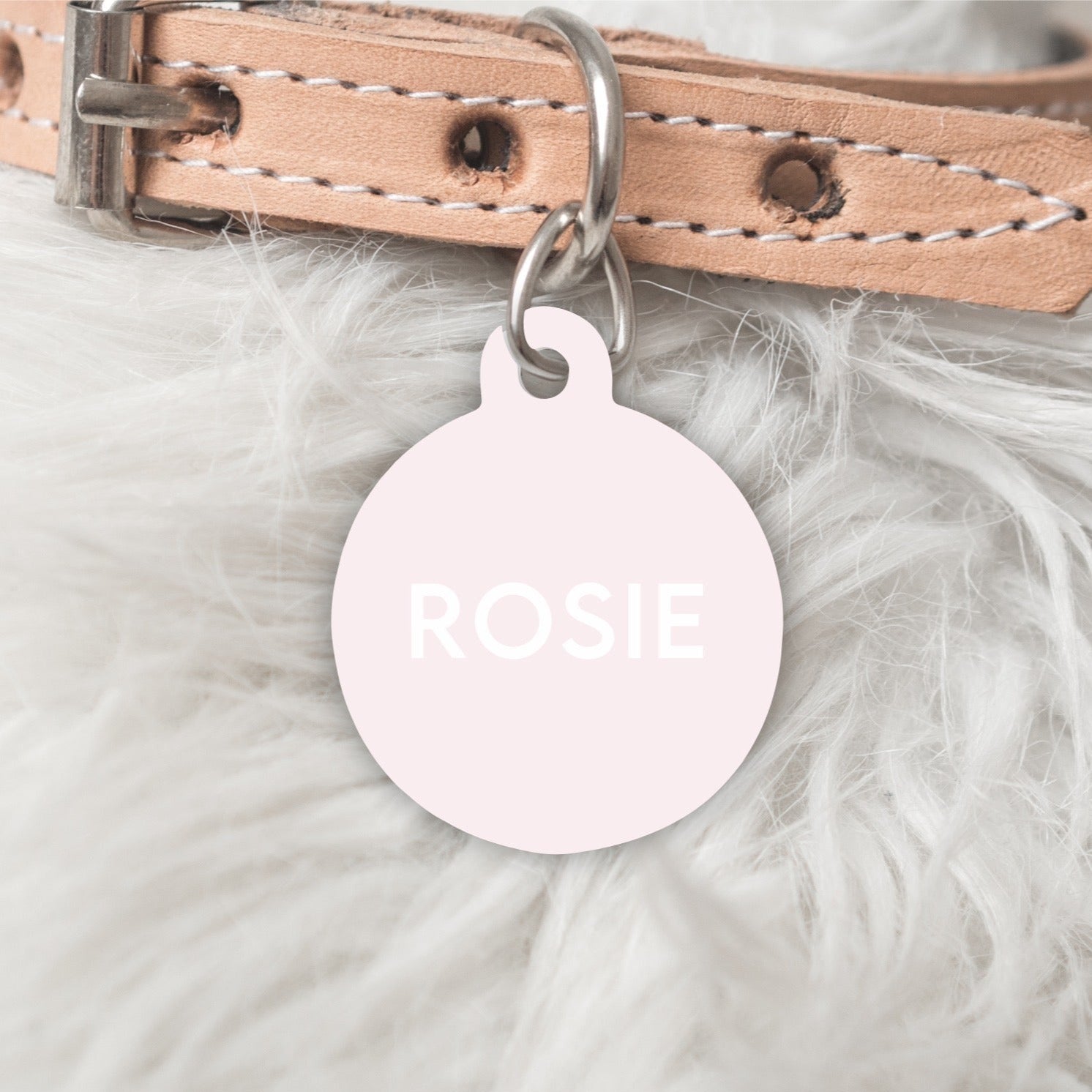 Colour Pop Pink Pastel Personalised Pet dog or cat ID Tag