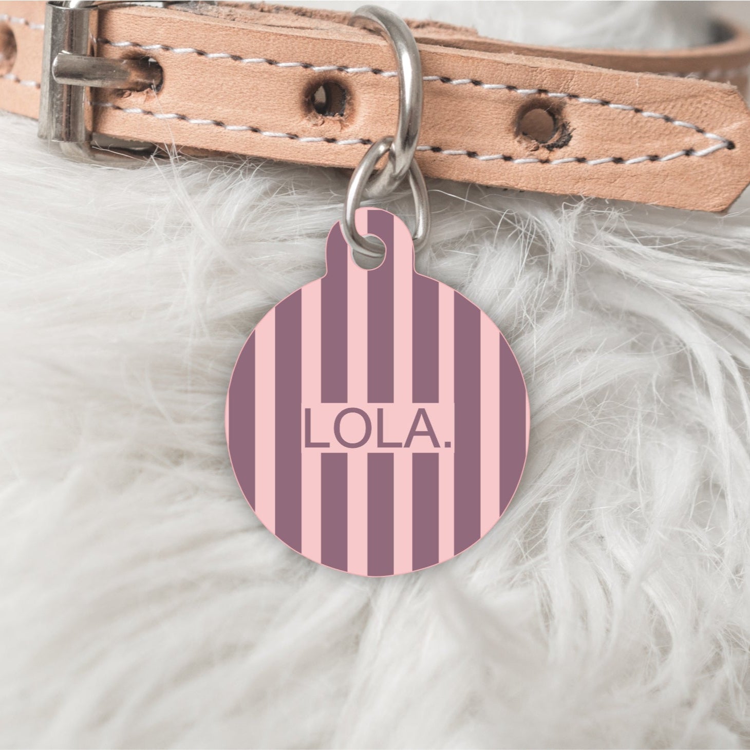 striped dog is tag