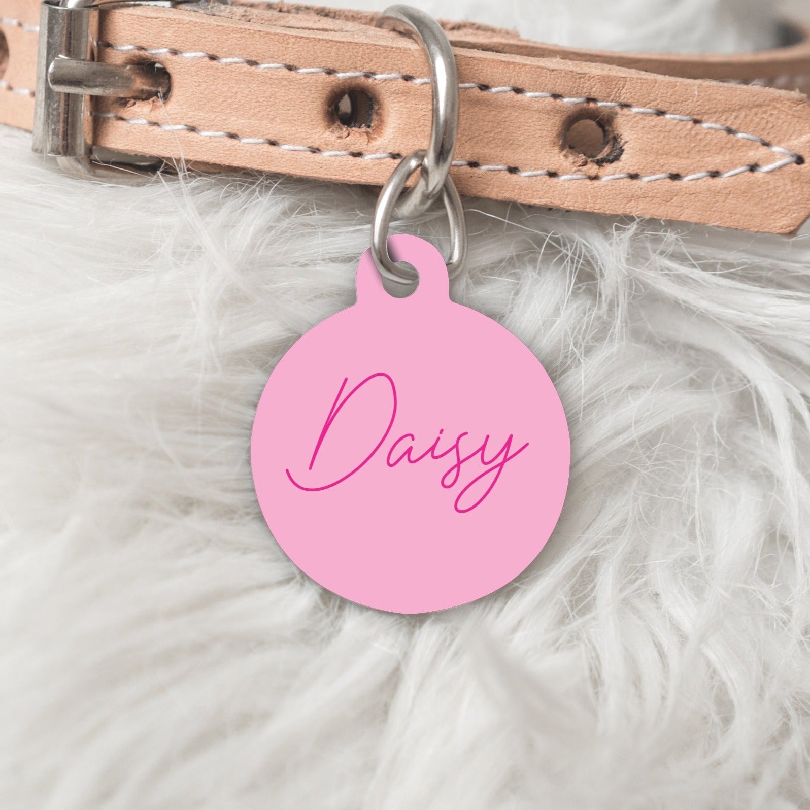 Personalised Pet Dog Cat ID Tag