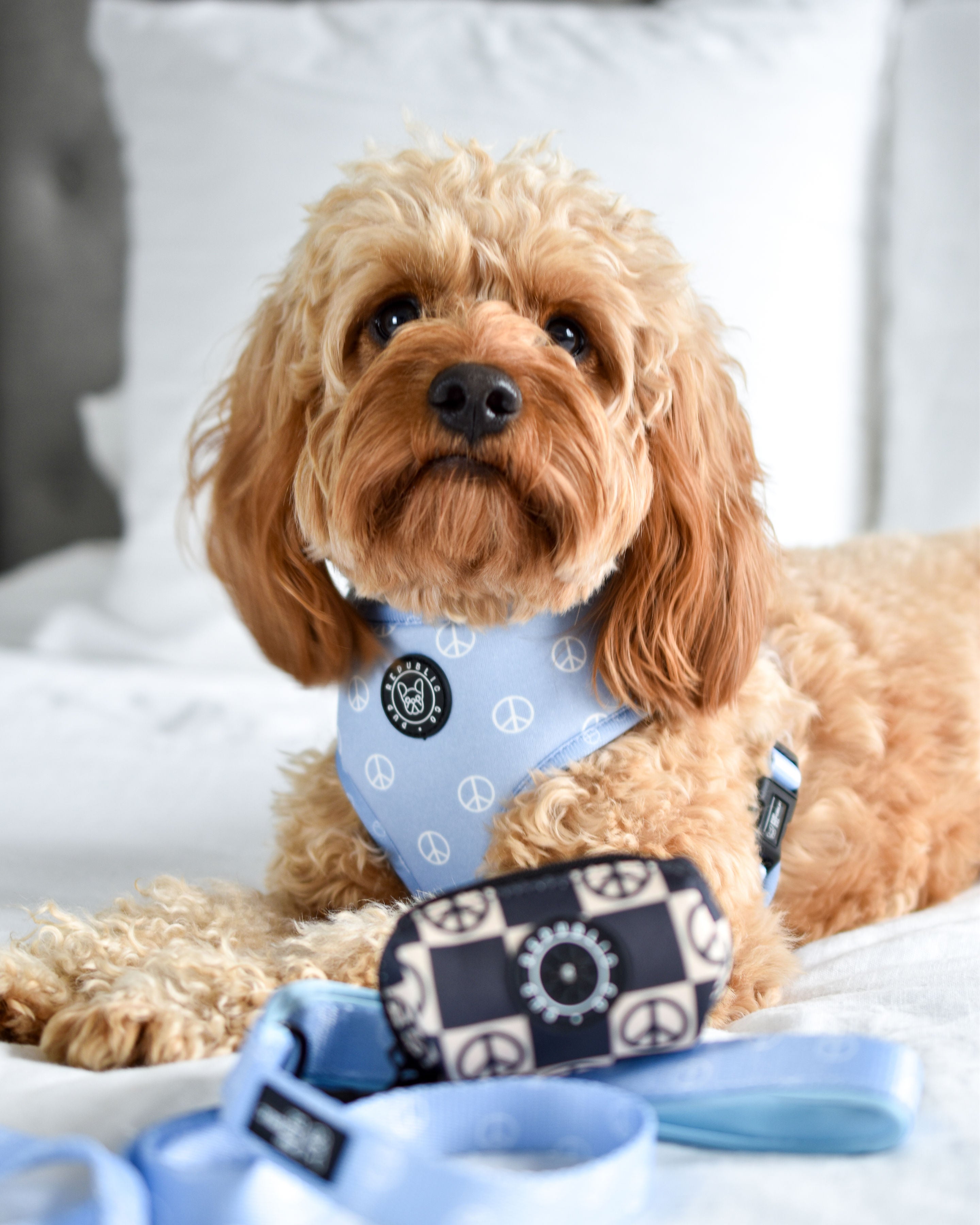 Peace &amp; Love - Reversible Dog Harness, Collar, Lead, Poop Bag &amp; Pet ID tag bundle
