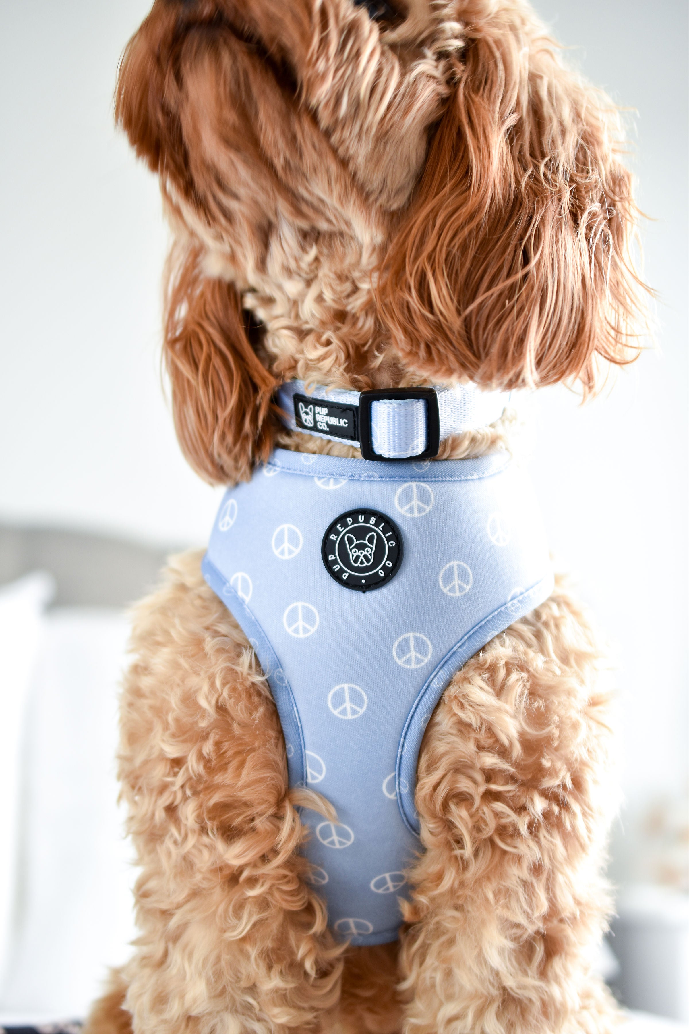 Peace &amp; Love reversible Print Adjustable Dog Harness