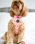 Flowers & Rainbows - Reversible Dog Harness, Collar, Lead, Poop Bag & Pet ID tag bundle