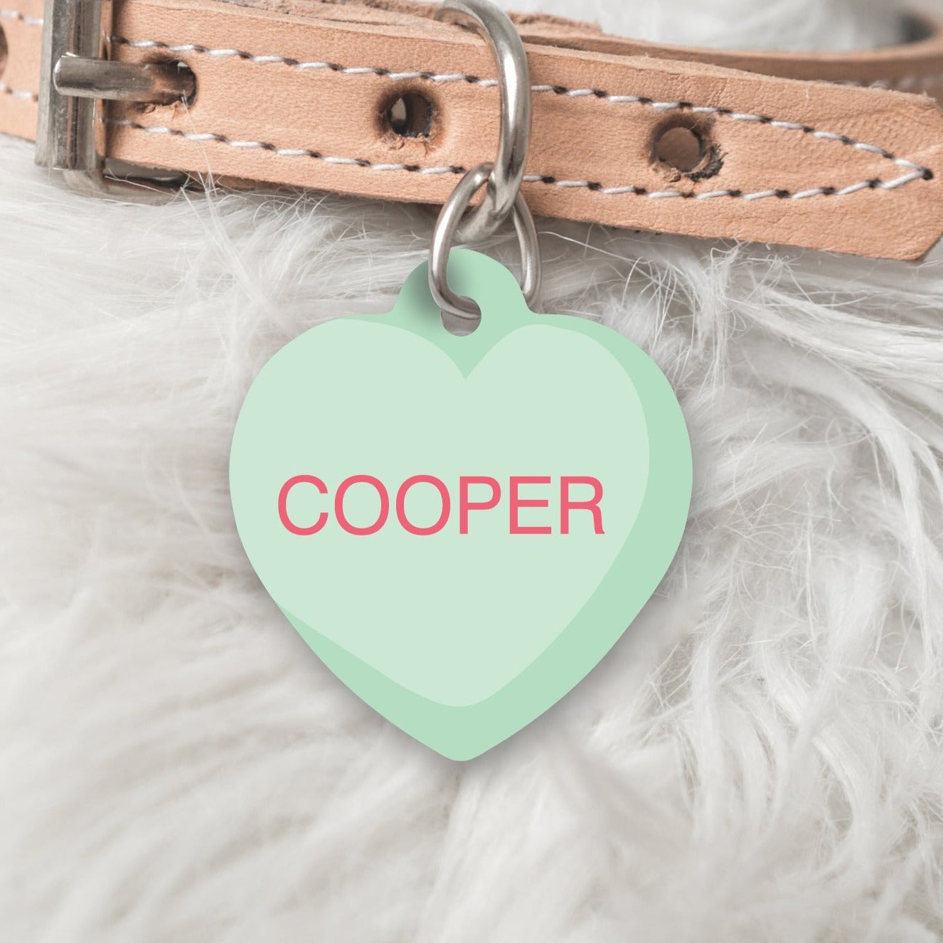 Green heart pet id tag with name