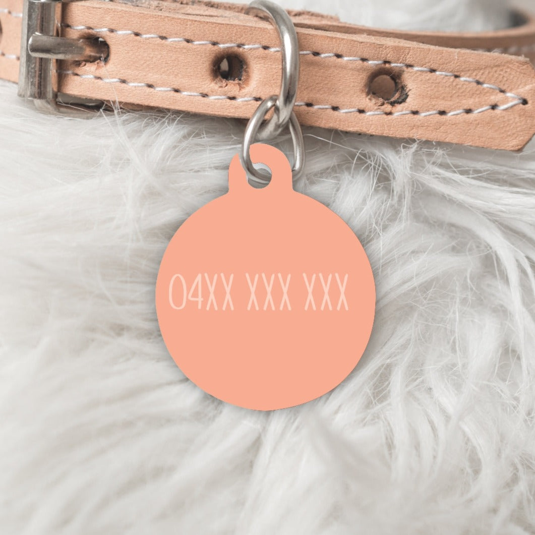 The Holly Personalised Pet dog or cat ID Tag - The Gelato Collection
