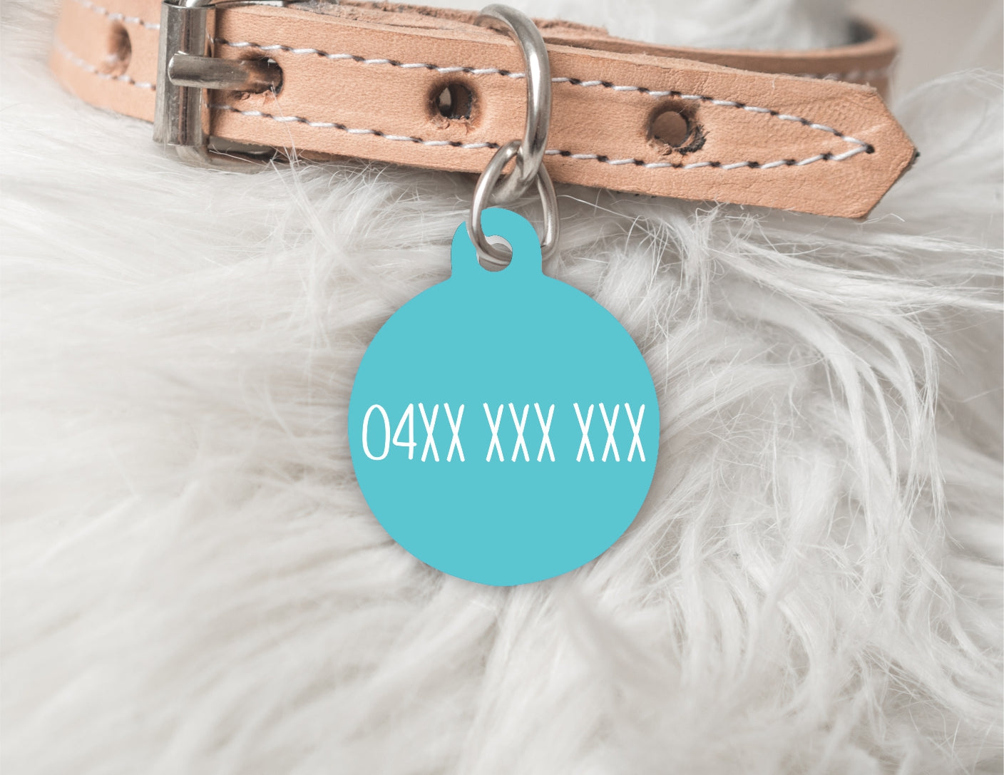 The Hugo Personalised dog or cat ID Tag - The Gelato Collection