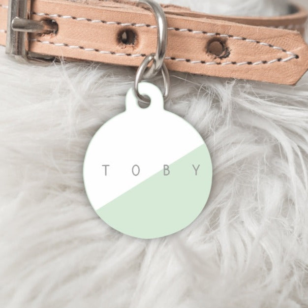 The Oblique Personalised Pet dog or cat ID Tag - Mint