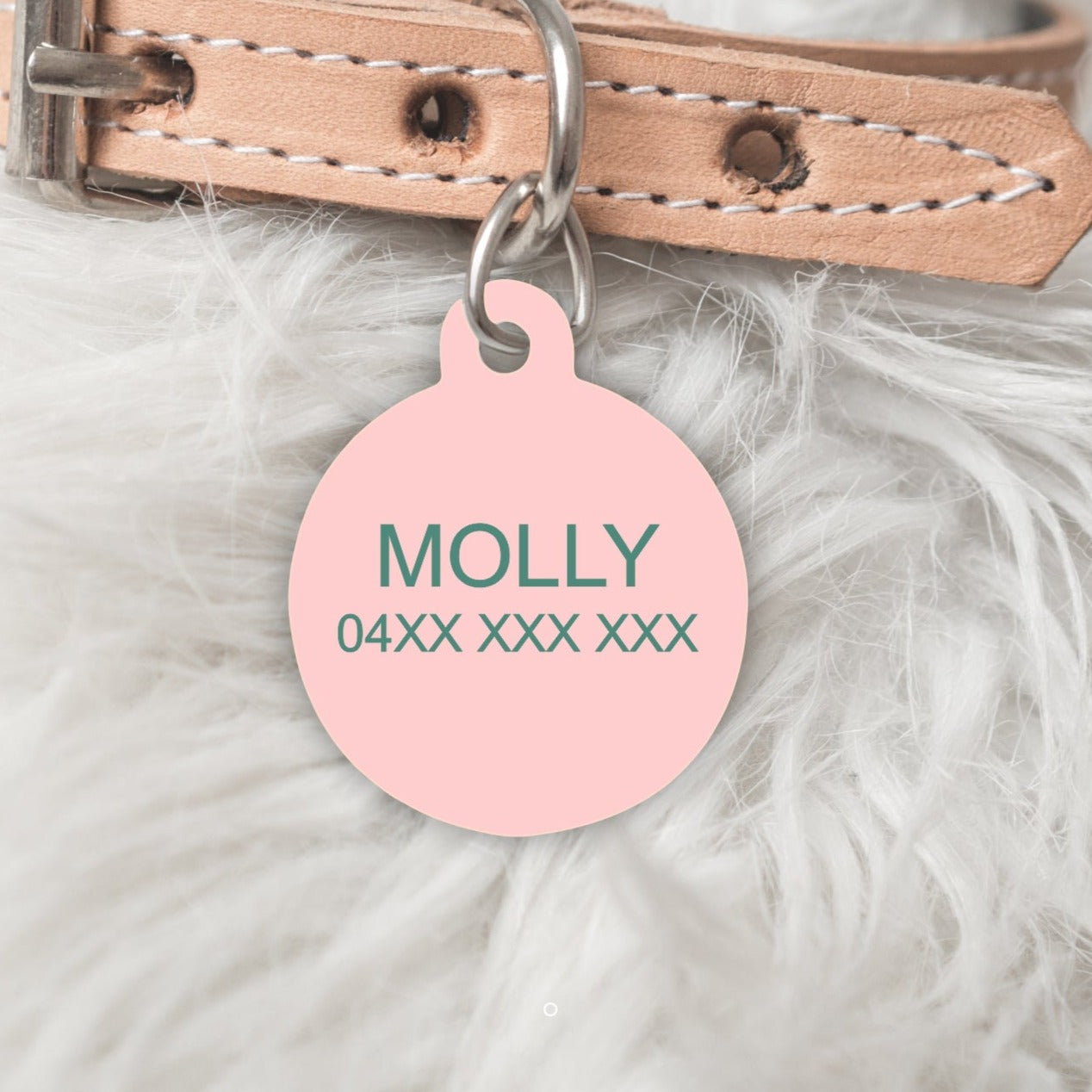 Monogram A-Z Personalised Pet dog or cat ID Tag