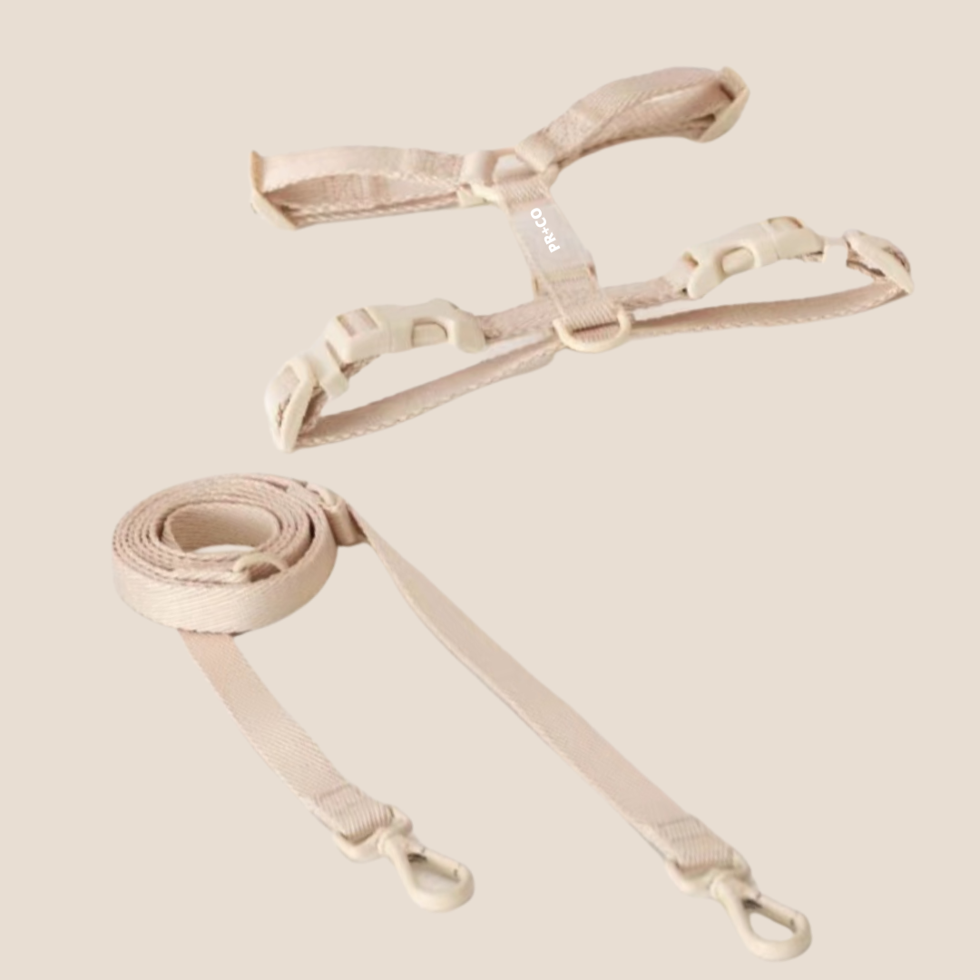 Beige pet strap harness and lead