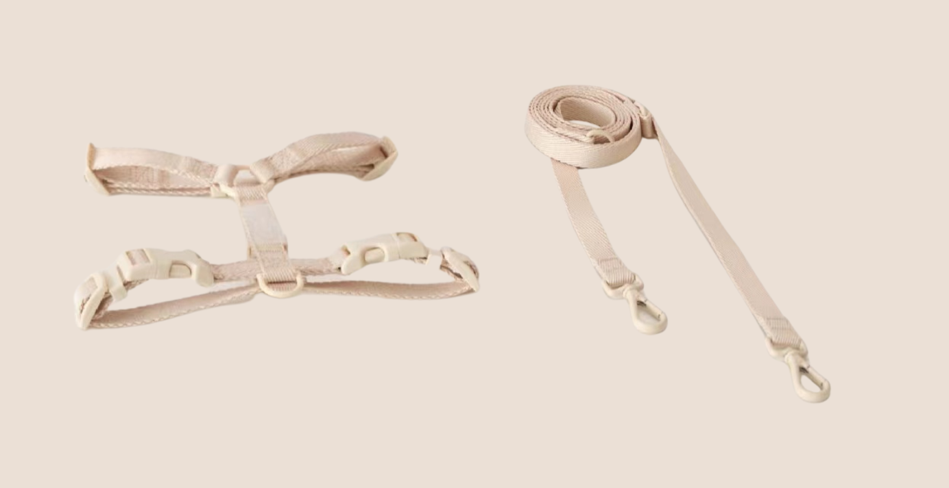 Vanilla strap harness and hands free  cross body dog leash