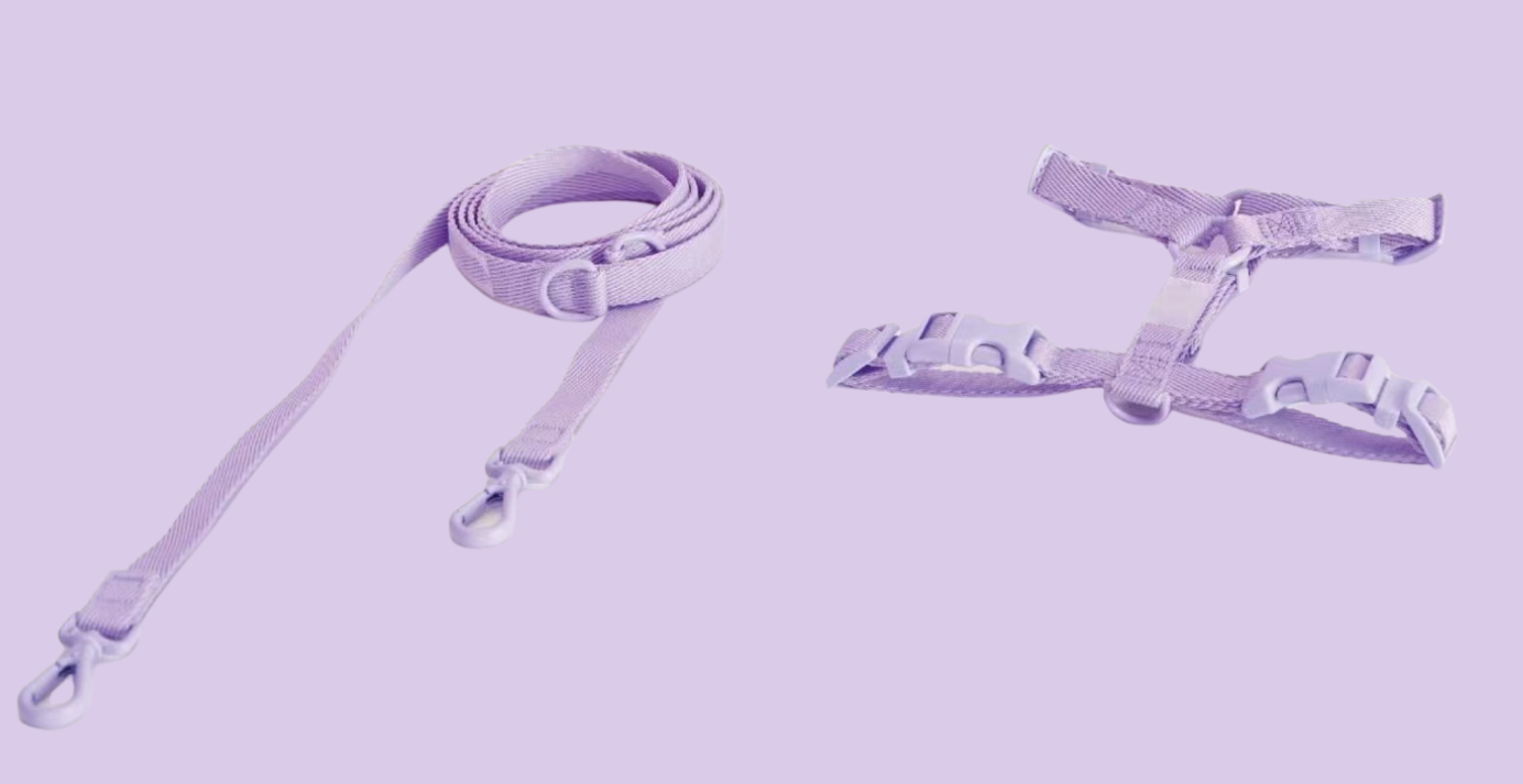 Lavender strap harness and hands free  cross body dog leash