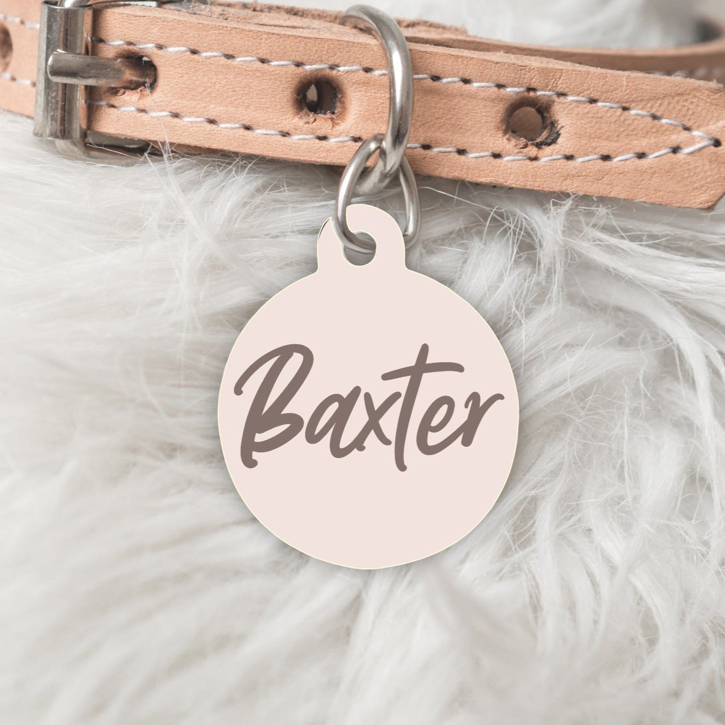 The Winter Edit- Double sided Pet dog or cat ID Tag - Baxter