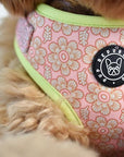 Pup Island Byron Summer collection - Harness, Collar, Lead, Poop Bag & Pet ID tag
