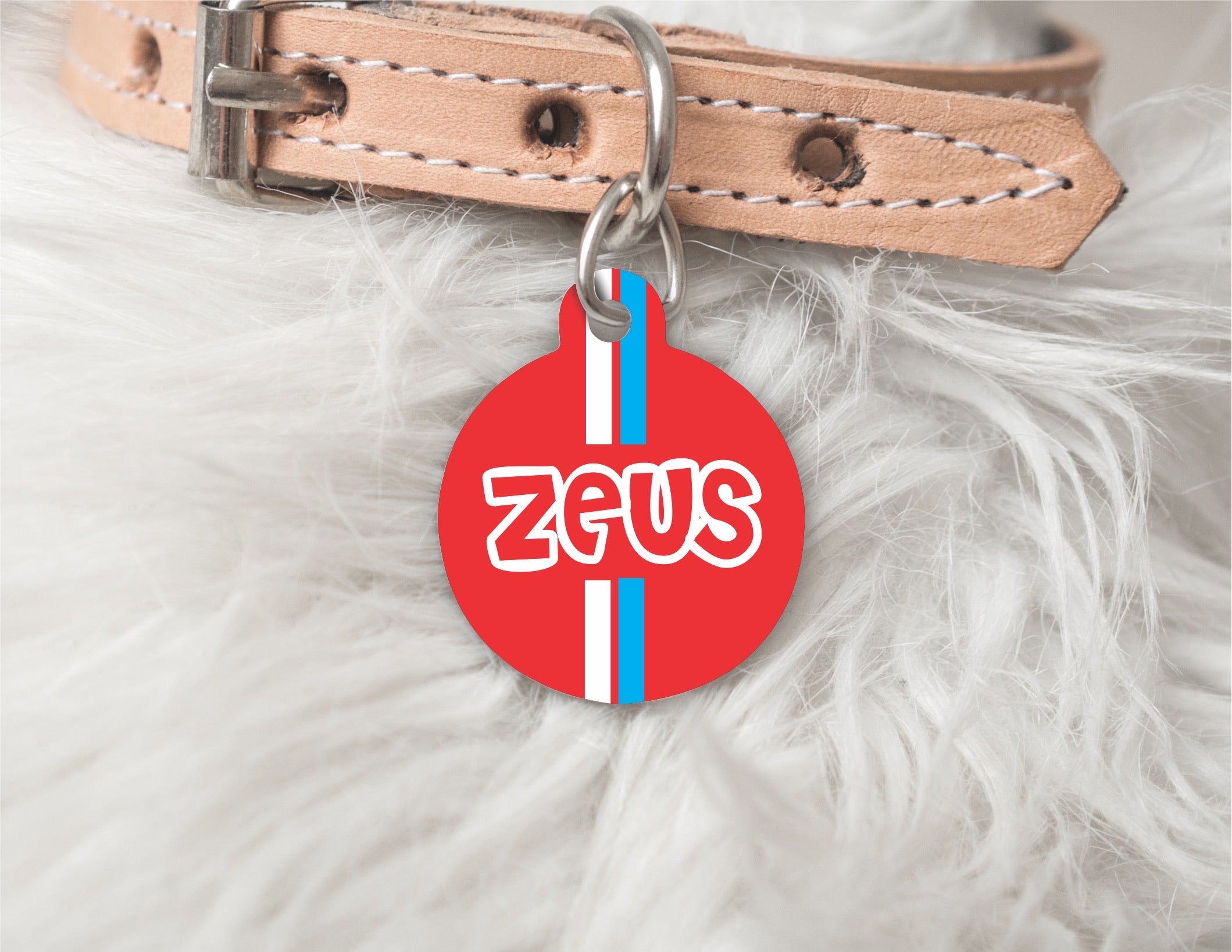 Zeus Personalised Pet ID Tag!