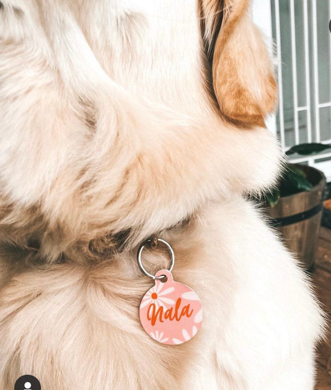 The Winter Edit - Personalised Pet dog or cat ID Tag - Daisy