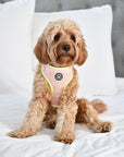 Pup Island Byron Summer collection - Harness, Collar, Lead, Poop Bag & Pet ID tag