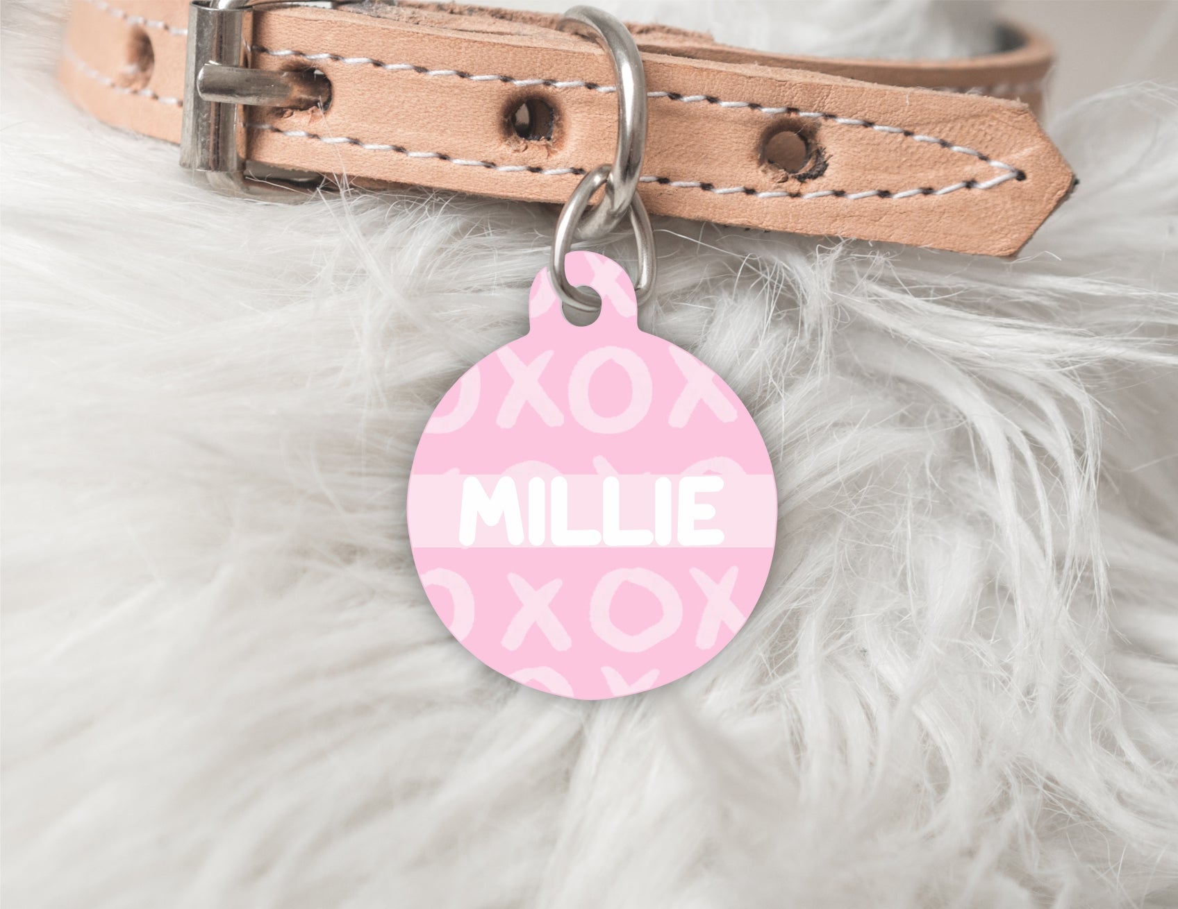 XOXO Personalised  Pet dog or cat ID Tag