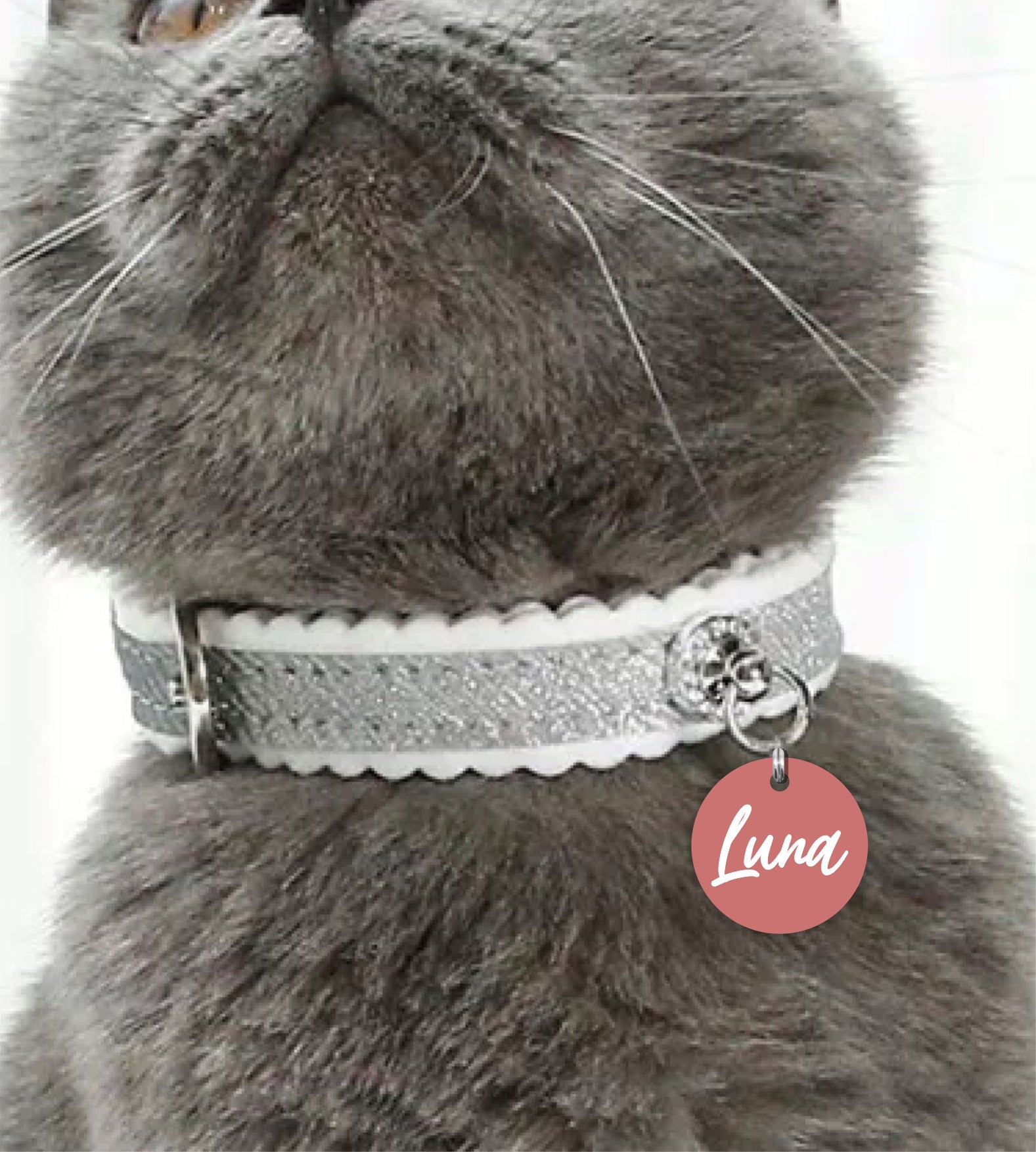Small 25mm Flower Personalised Pet Cat ID Tag - The Winter Luna