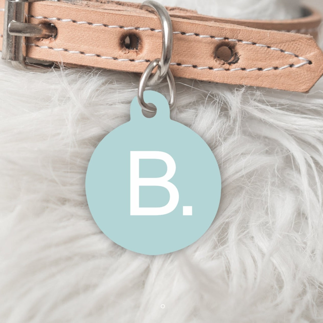 Monogram A-Z Personalised Pet dog or cat ID Tag