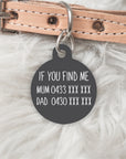 The Terrazzo Collection Double sided Scout Pet dog or cat ID Tag