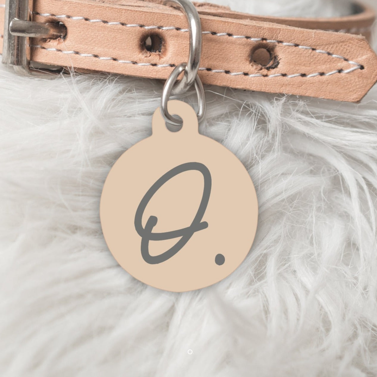 Pet id tags sales afterpay