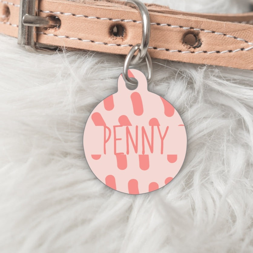 Pet ID Tag - The Penny