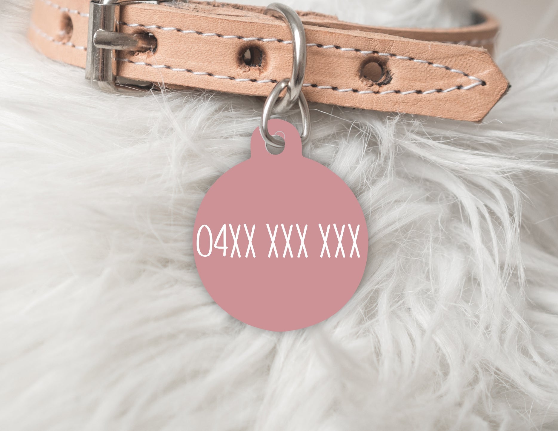 The Winter Edit - Personalised Pet dog or cat ID Tag - Zara
